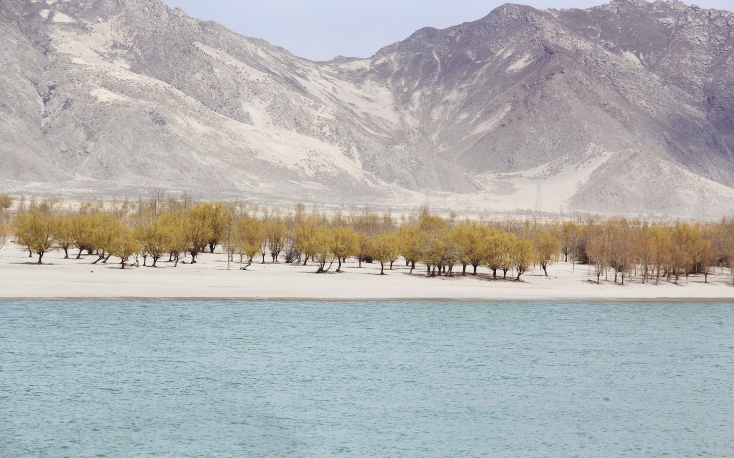 Building Bridges: Afghan Culture’s Impact on Global Harmony